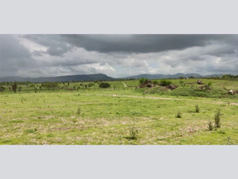 Foto de Terreno em leilão em Santa Terezinha - BA