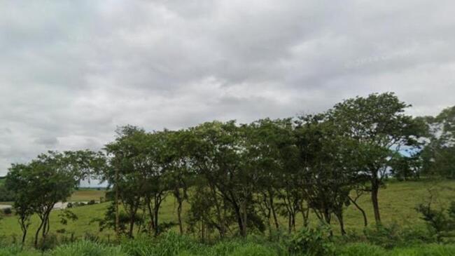 Foto de IMÓVEL RURAL | 97,50 HECTARES | FAZENDA SÃO JOÃO - SANTANA DA VARGEM/MG