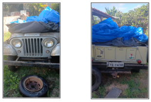 Foto de FORD JEEP, PLACA KTE7408, 1975/1975, COR BRANCA