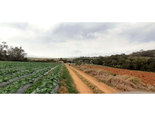 Foto de IMÓVEL RURAL, A.T 12,10hec, para plantio, Fazendinha, Salto de Pirapora/SP