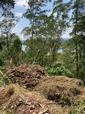 Foto de Imóvel em Itapecerica Da Serra (SP)