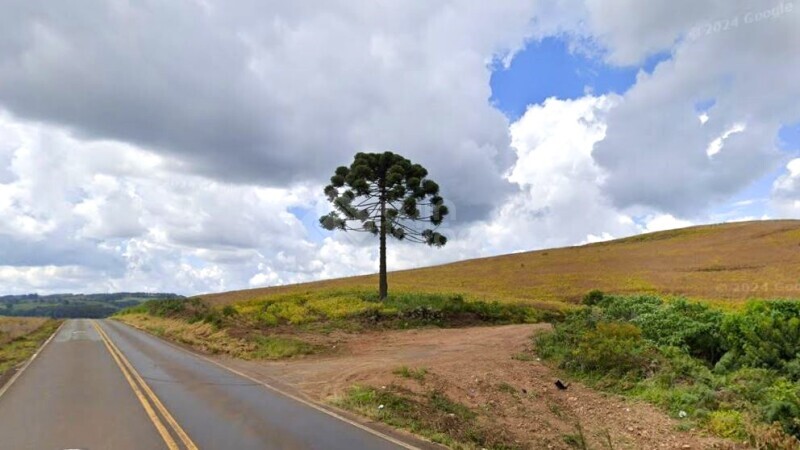 Foto de Propriedade Rural com 28 Hectares - Irani, SC