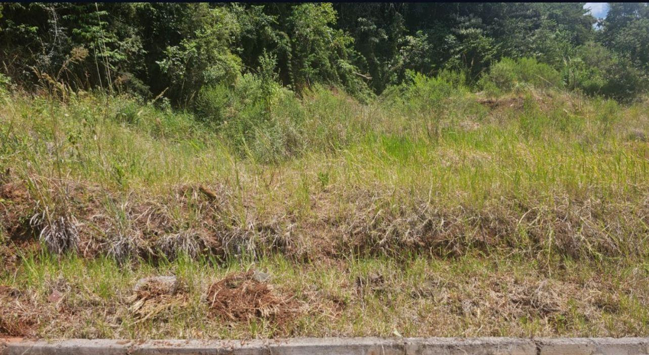 Foto de Imóvel em Erval Seco (RS)