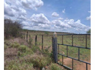 Foto de Girau do Ponciano/AL - Sítio com 80,16 hectares