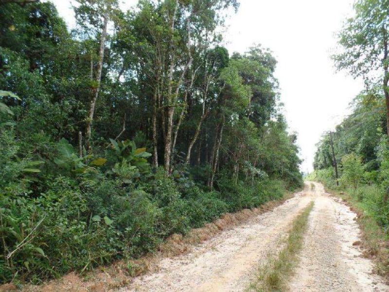 Foto de Imóvel rural 17 m², Vargem do Salto - Leilão encerrado em Ibiúna/SP