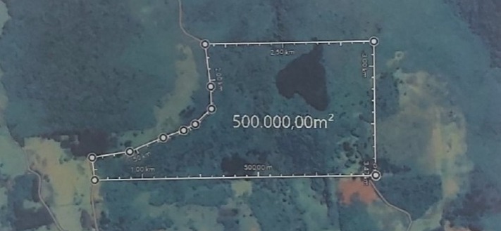 Foto de Area Rural em leilão em Nova Petrópolis - RS