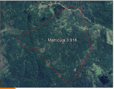 Foto de Terreno rural com área de 196,98ha, sem benfeitorias, localizado no município e Inácio Martins/PR