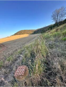 Foto de Uma Gleba de terras rurais com 159,01.80 hectares, em Palestina de Goiás/GO