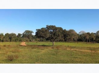 Foto de Terreno A.T. 2.500 m² - Vila Rosa, Dourados/MS