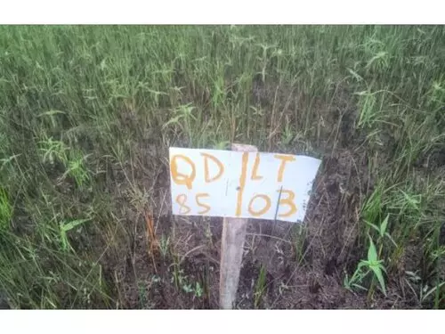 Foto de Terreno em leilão em Itaporanga D'ajuda - SE