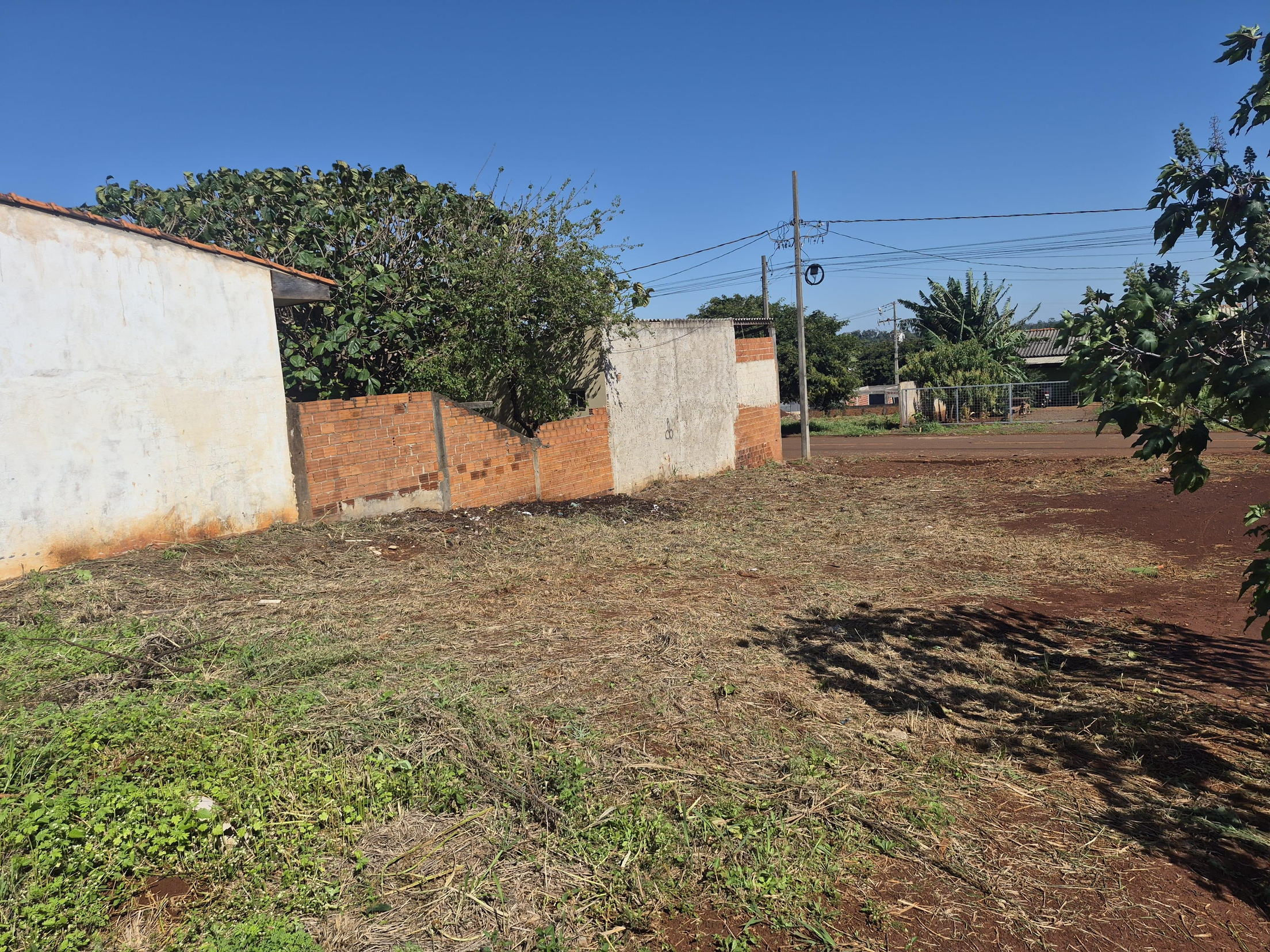 Foto de Imóvel em Palotina (PR)
