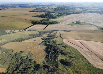 Foto de Imóvel em Lunardelli (PR)
