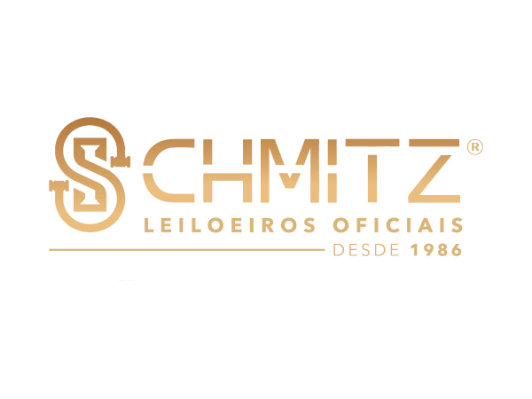 Foto de Veículo em leilão