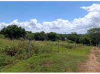 Foto de Area Rural em leilão no bairro Rosana em Teodoro Sampaio - SP