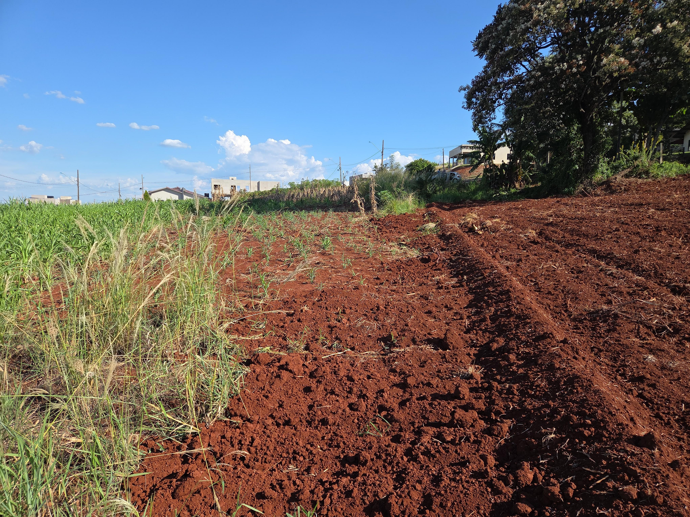 Foto de Terreno na Rua Angelo Alberton - Leilão em Nova Prata do Iguaçu/PR