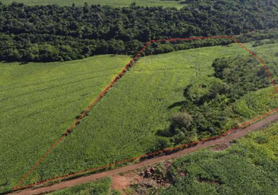 Foto de Imóvel em Formosa Do Oeste (PR)
