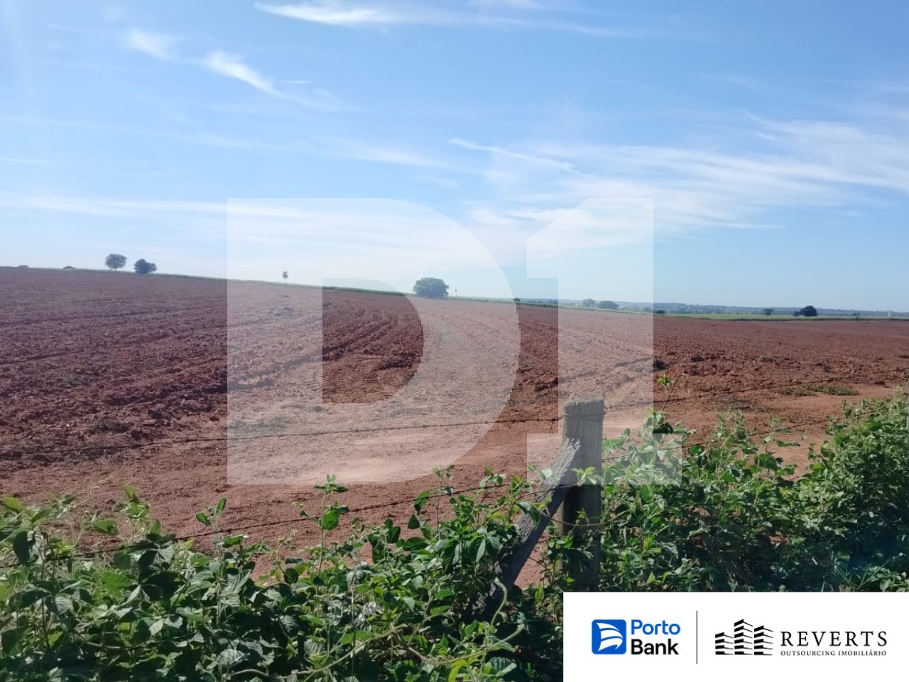 Foto de Area Rural em leilão em Tanabi - SP