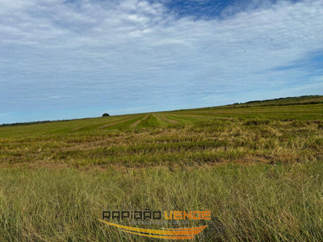 Foto de Area Rural em leilão em Formoso Do Araguaia - TO