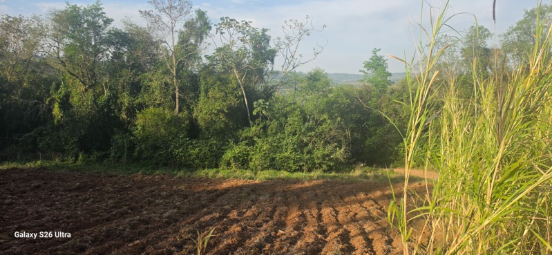 Foto de Uma extensão de terras do lote rural nº 24, da Linha Montanha, com área de 40.000m², sem benfeitorias, sito neste município de Porto Xavier