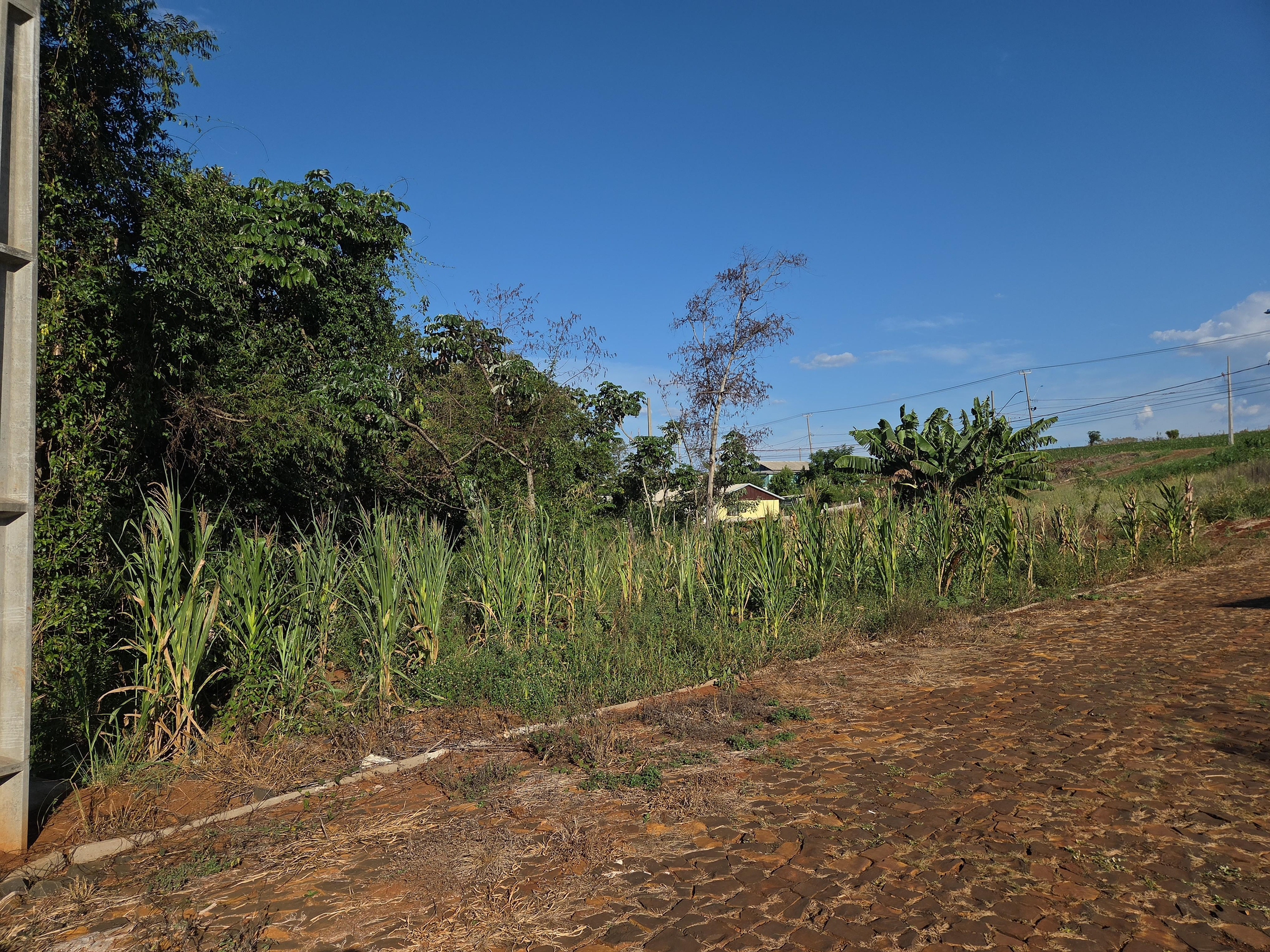 Foto de Terreno na Rua Aldino Severino Pastorio, 432 - Leilão em Nova Prata do Iguaçu/PR