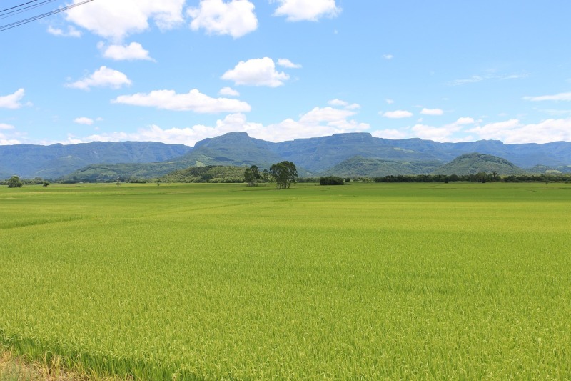 Foto de ÁREA DE 46,03,00 HA DE UM IMÓVEL RURAL EM RESSAQUINHA/MG