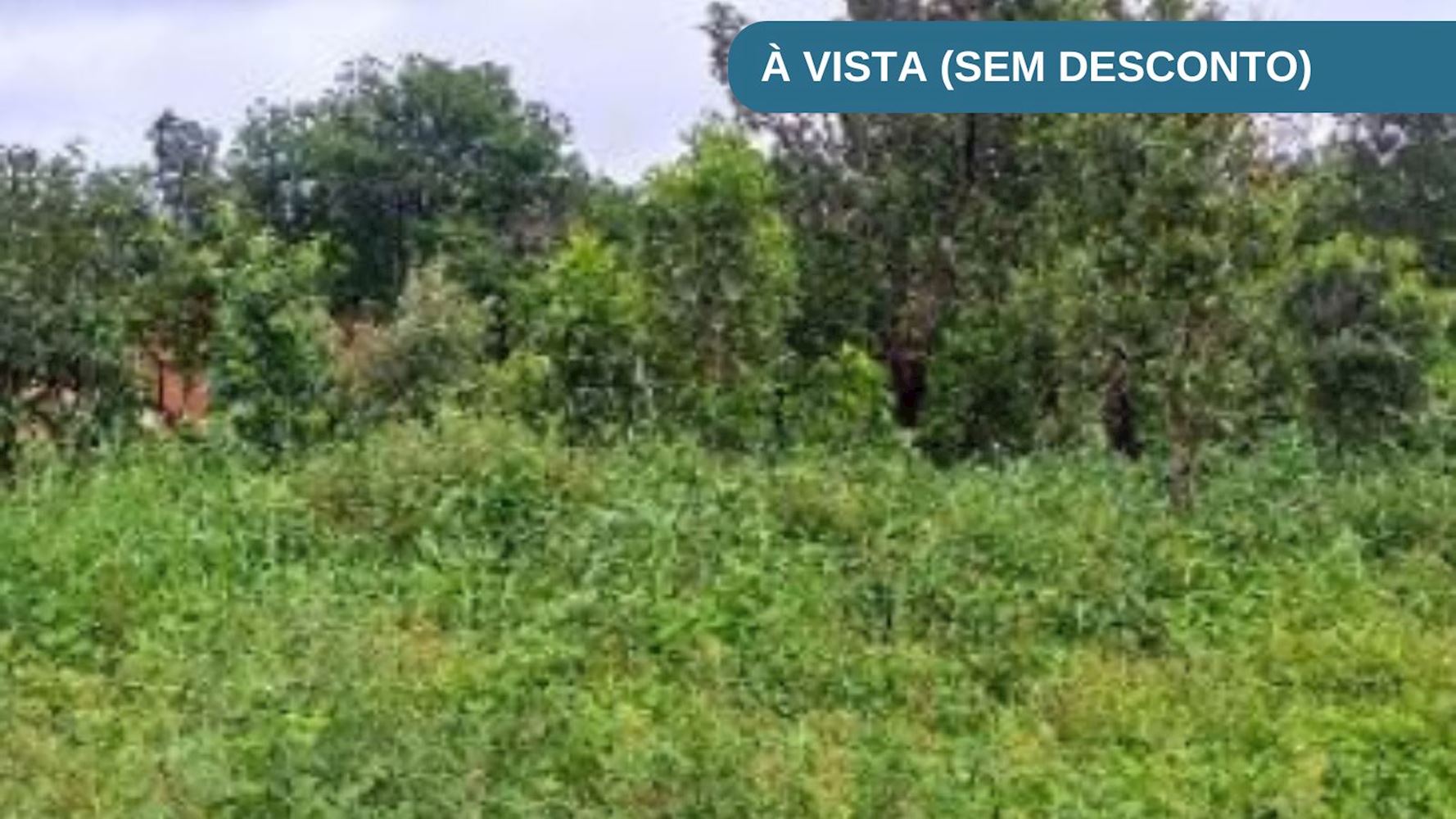 Foto de Terreno em leilão no bairro Jardim das Acácias em Paraíso Do Tocantins - TO