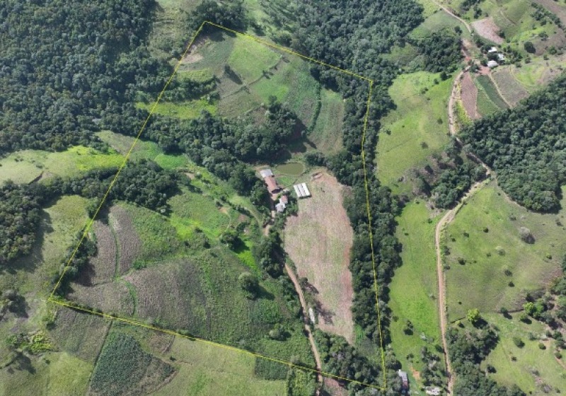 Foto de Area Rural em leilão em Dionísio Cerqueira - SC