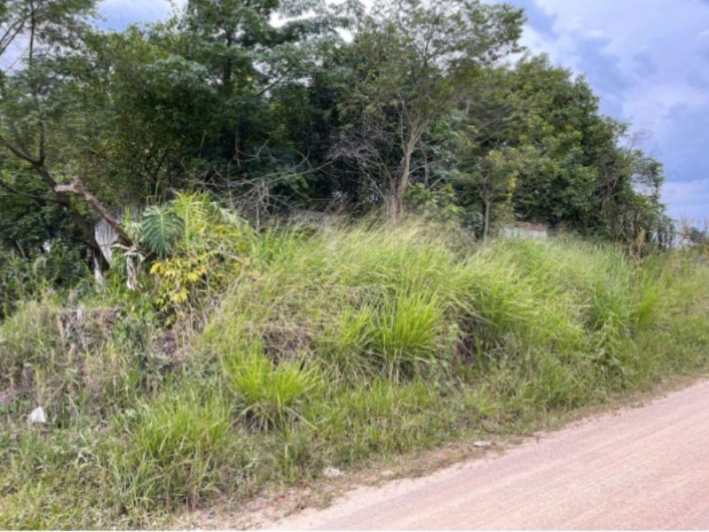 Foto de Terreno em leilão em Urussanga - SC