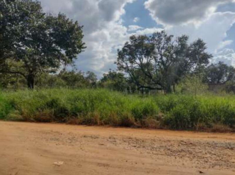 Foto de Terreno 6000 m², Pinhal - Leilão encerrado em Itapetininga/SP