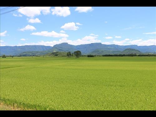 Foto de LOTE 004 IMÓVEL RURAL EM RESSAQUINHA/MG