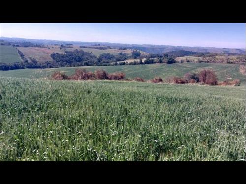 Foto de Simular Financiamento Imóvel Rural com Área de 72.600 m² (Gleba Alvorada) - Colônia Muquilão - Nova...