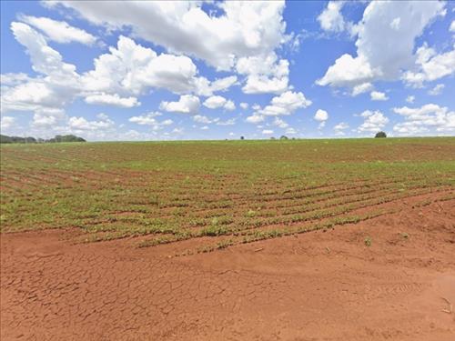 Foto de Imóvel Rural, 72.600m², Guaíra/SP (28742) | Grupo Lance