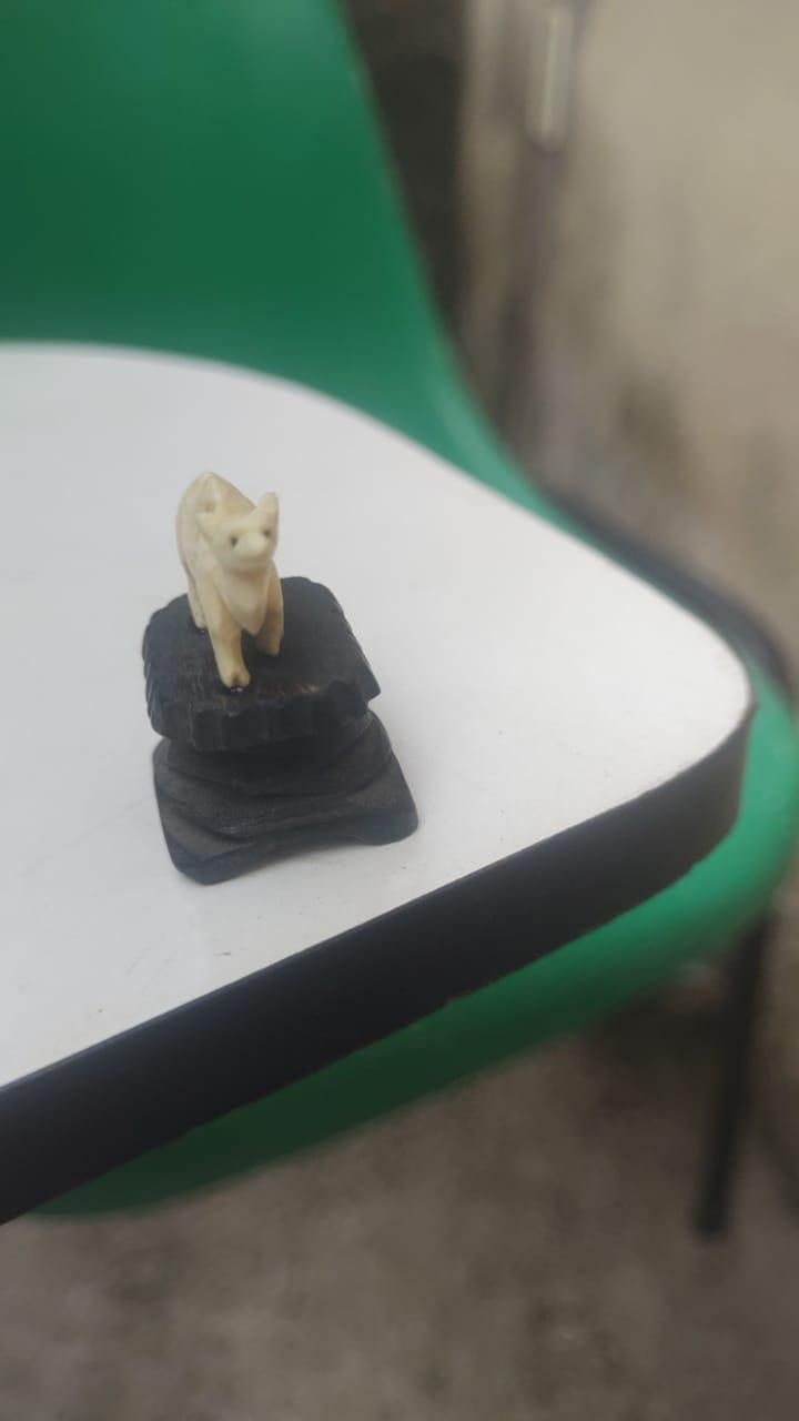 Foto de MINI ESCULTURA EM MARFIM REPRESENTANDO CAMELO, 25 MM X 37 MM X 25 MM ESPESSURA