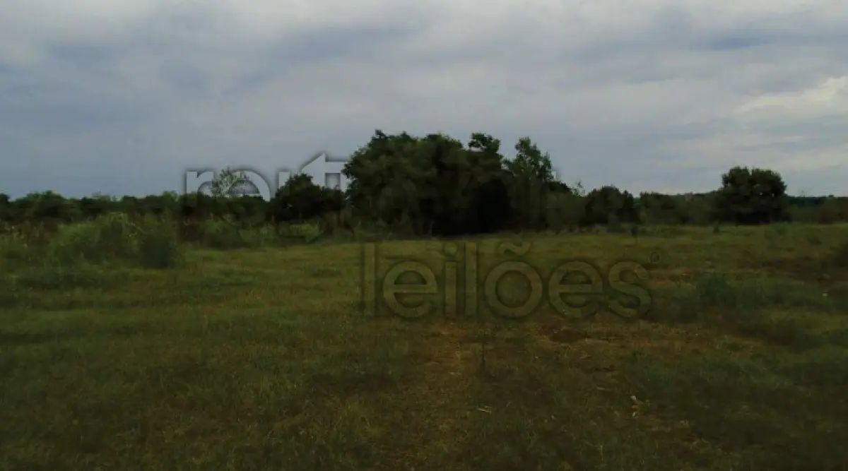 Foto de ÁREA RURAL C/ 69.000,00 M² - ALECRIM / RS