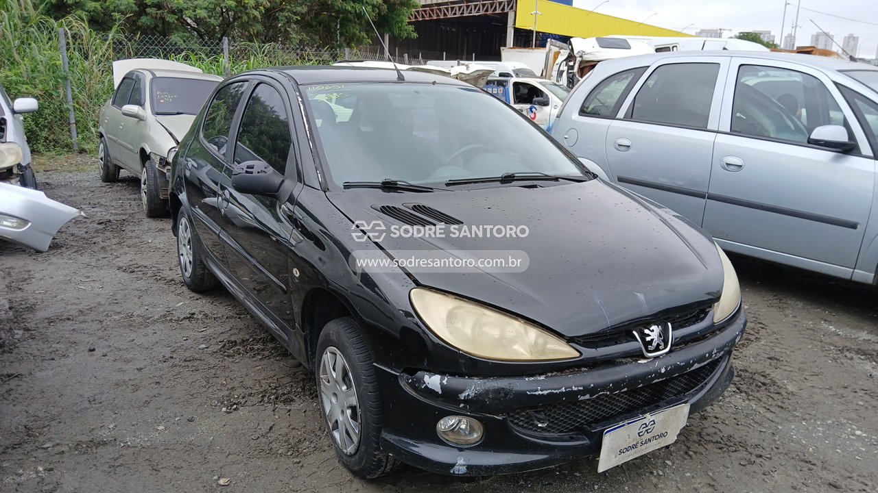 Foto de peugeot - 206 14 feline