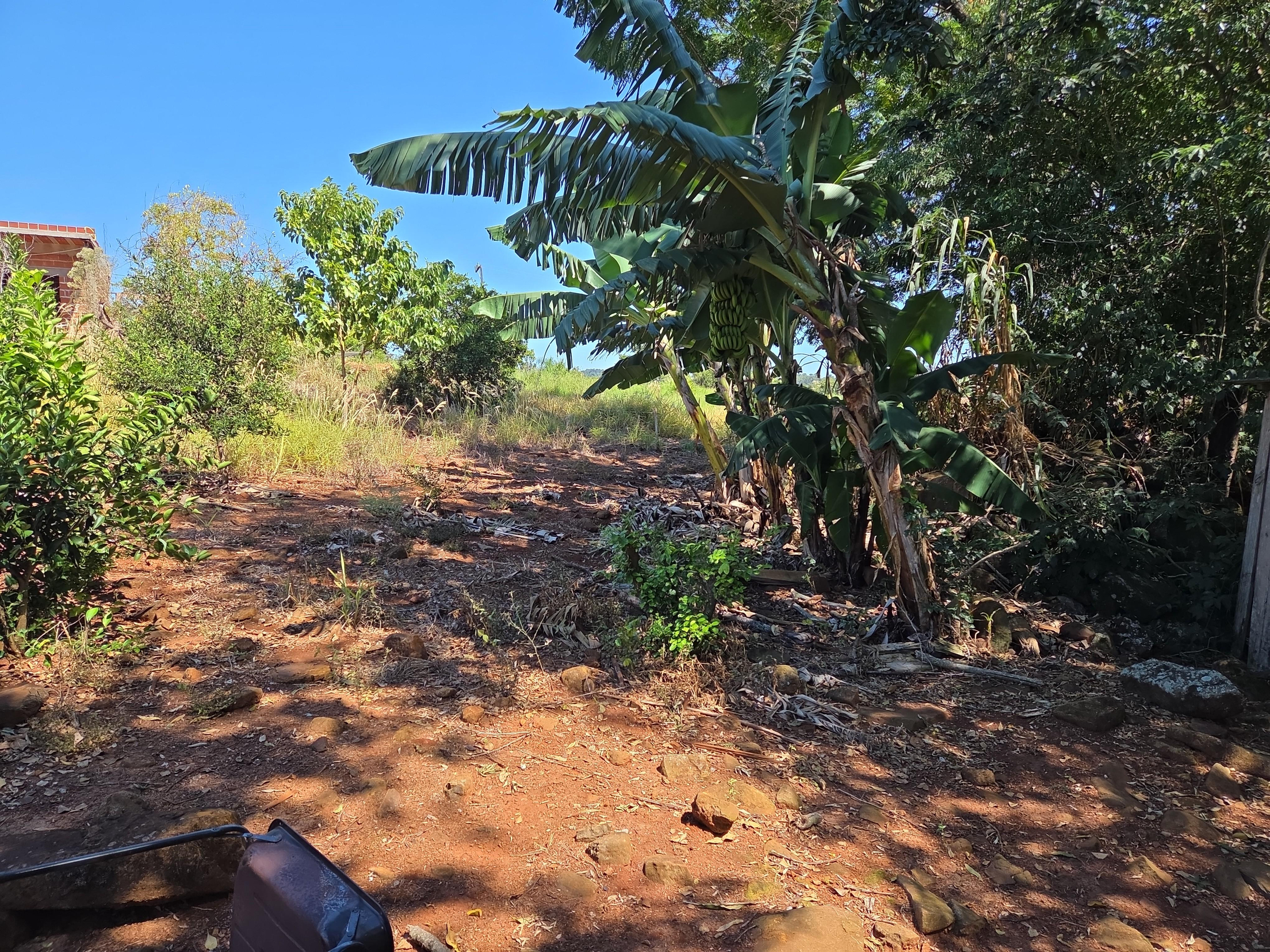 Foto de Terreno em leilão no bairro Distrito Turístico em Nova Prata Do Iguaçu - PR