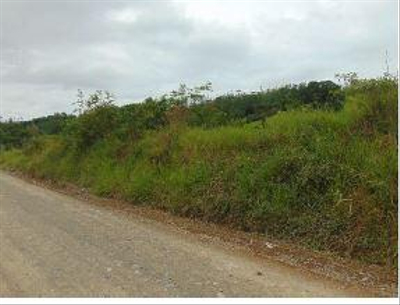 Foto de Terreno em leilão no bairro Praia Vermelha em Taió - SC