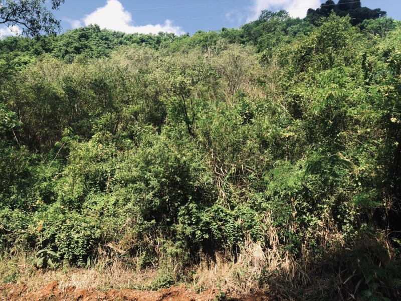 Foto de Terreno em leilão no Parque Residencial Estar do Chile em Erechim - RS