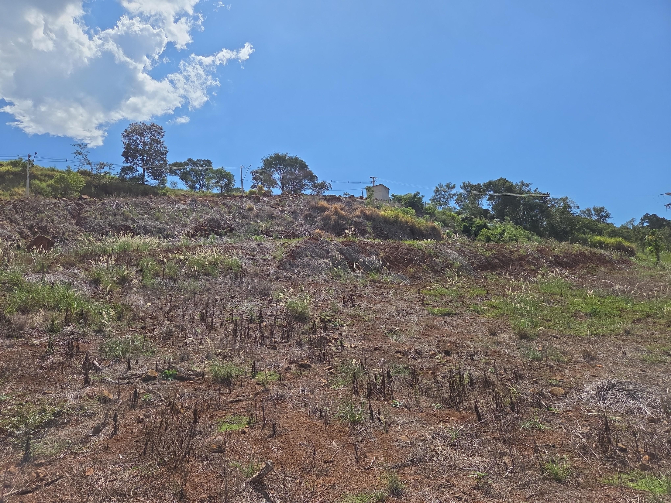 Foto de Imóvel em Nova Prata Do Iguaçu (PR)