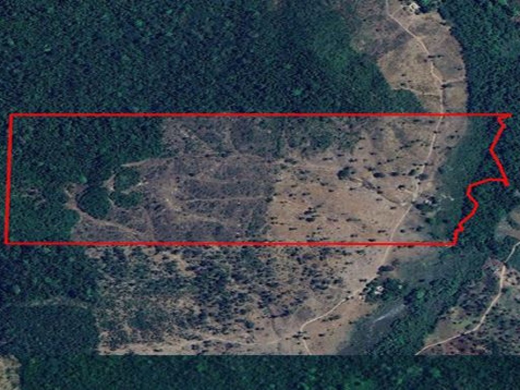 Foto de Area Rural em leilão em Muricilândia - TO