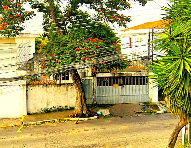 Foto de Casa na Av. Washington Luís! - Leilão em São Paulo/SP