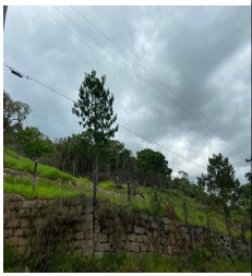 Foto de Terreno em leilão no bairro Santa Luzia em Ribeirão Pires - SP