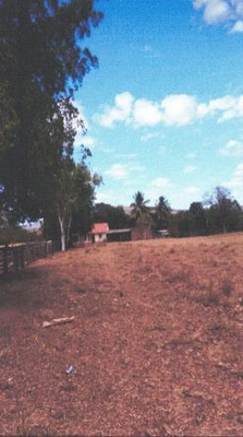 Foto de Imóvel em Manga (MG)