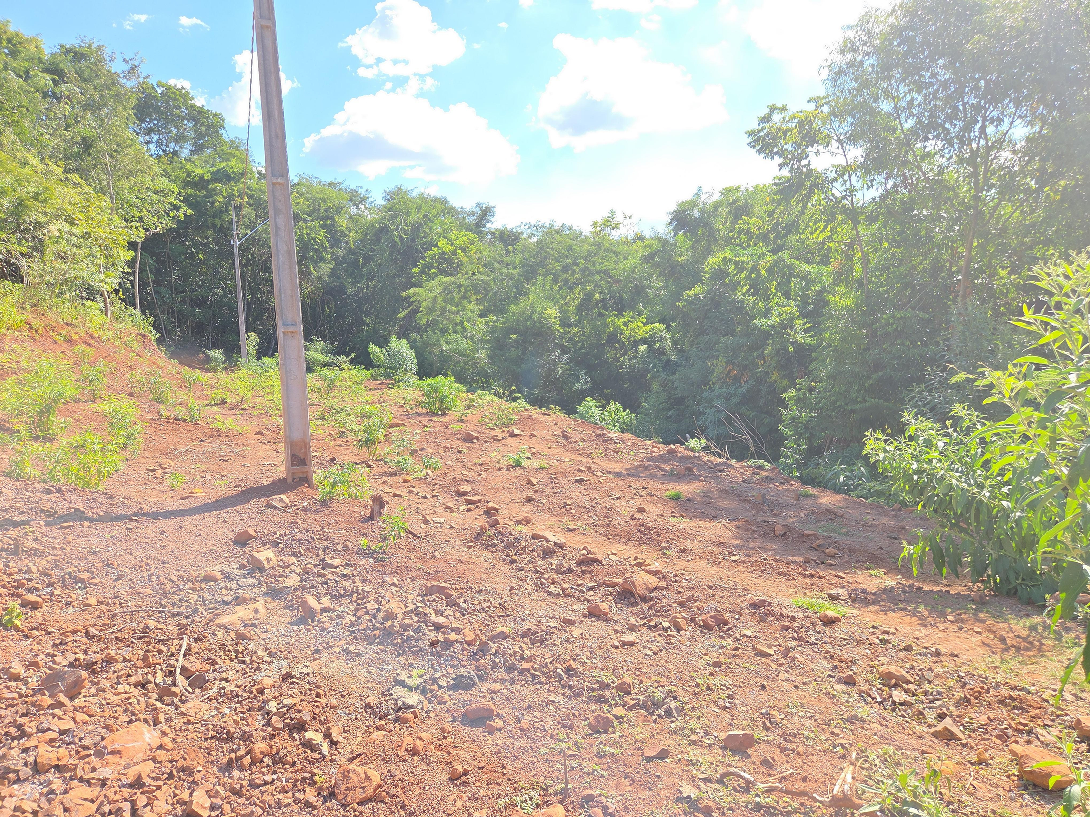 Foto de Terreno em leilão no bairro Distrito Turístico em Nova Prata Do Iguaçu - PR