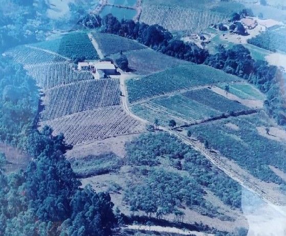 Foto de Area Rural em leilão no bairro Bairro do Mirim em Indaiatuba - SP