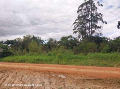 Foto de Area Rural em leilão em Ascurra - SC
