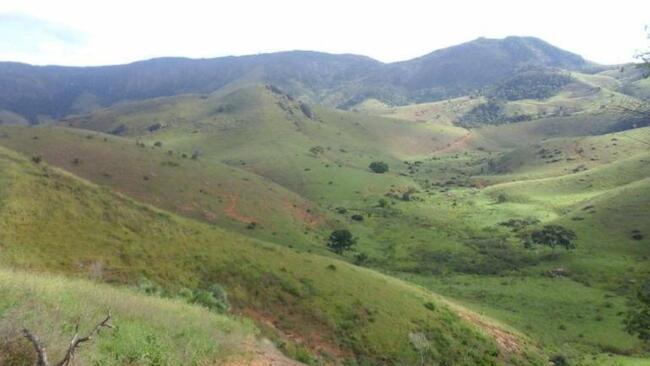 Foto de FAZENDA | 31,91 HECTARES | FAZENDA DOURADO - MACHADO/MG