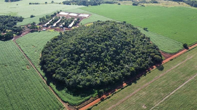 Foto de IMÓVEL RURAL | A.T. 84,72,08HA FAZ. BARRA (CULTURA DE GRÃOS) | SANTO ANTÔNIO DA BARRA/GO