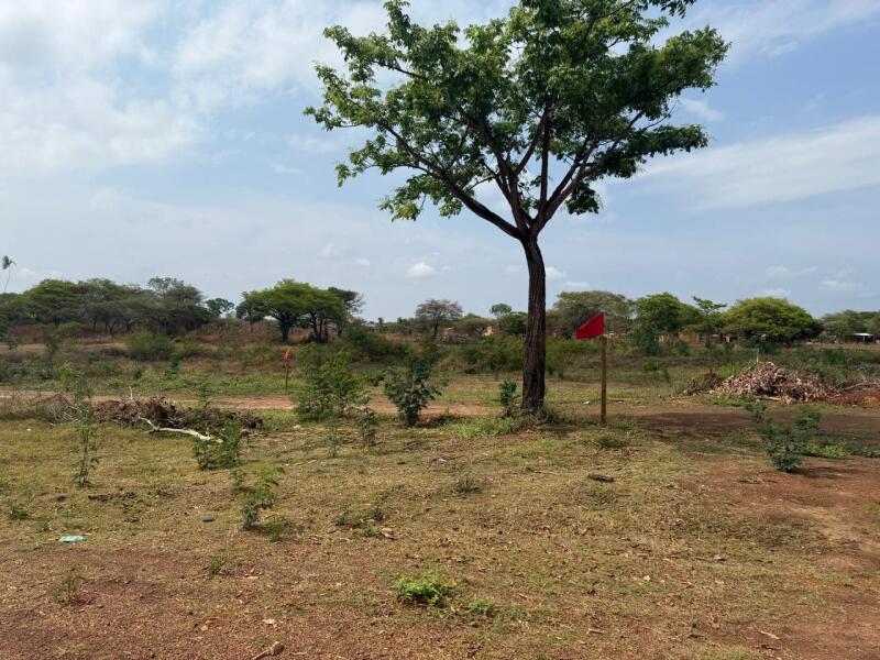 Foto de Imóvel em leilão em Araguacema - TO