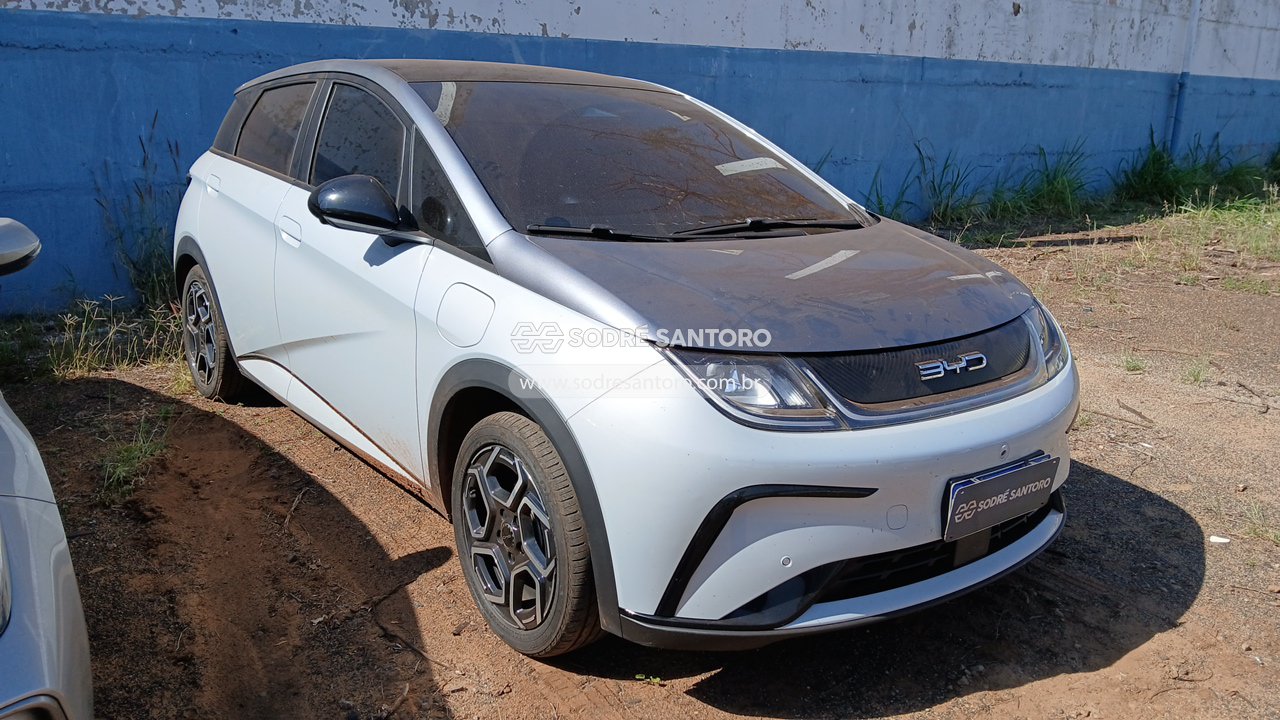 Foto de byd - dolphin plus 310ev